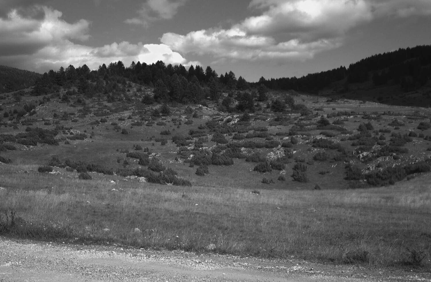 rcnx0297.jpg