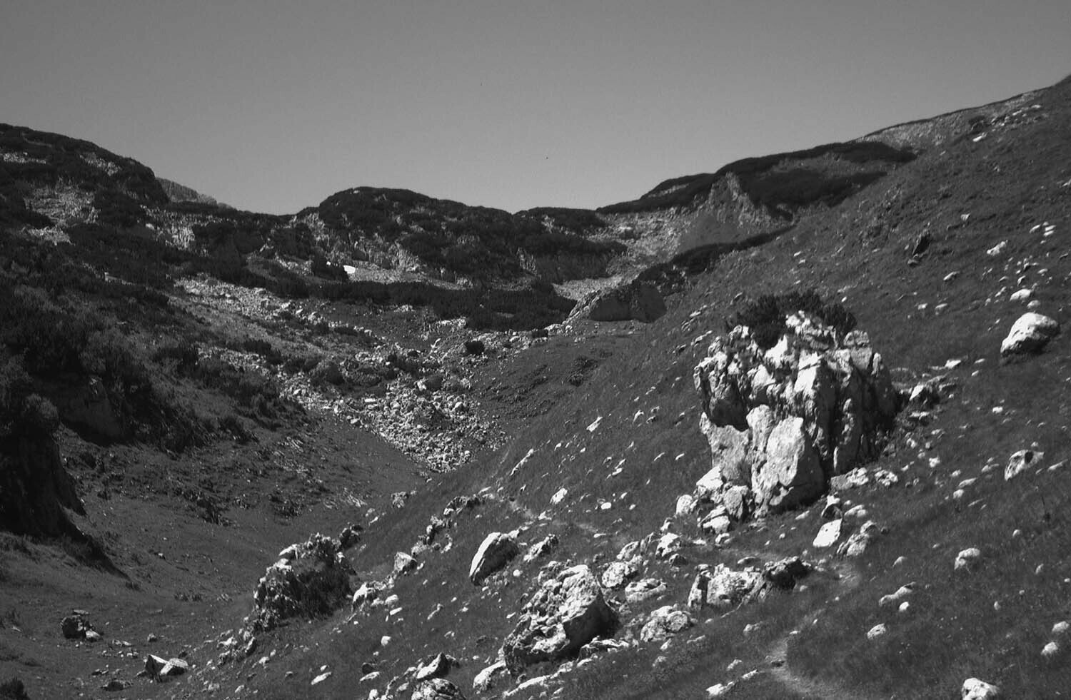 rcnx0302-(1).jpg
