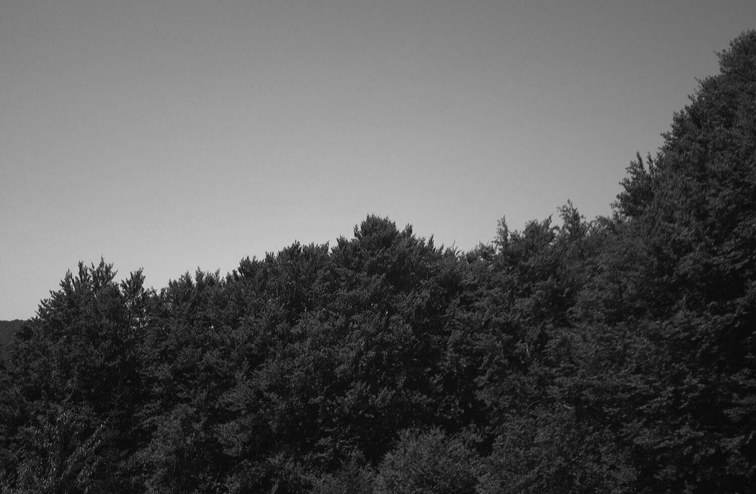 rcnx0308-(2).jpg