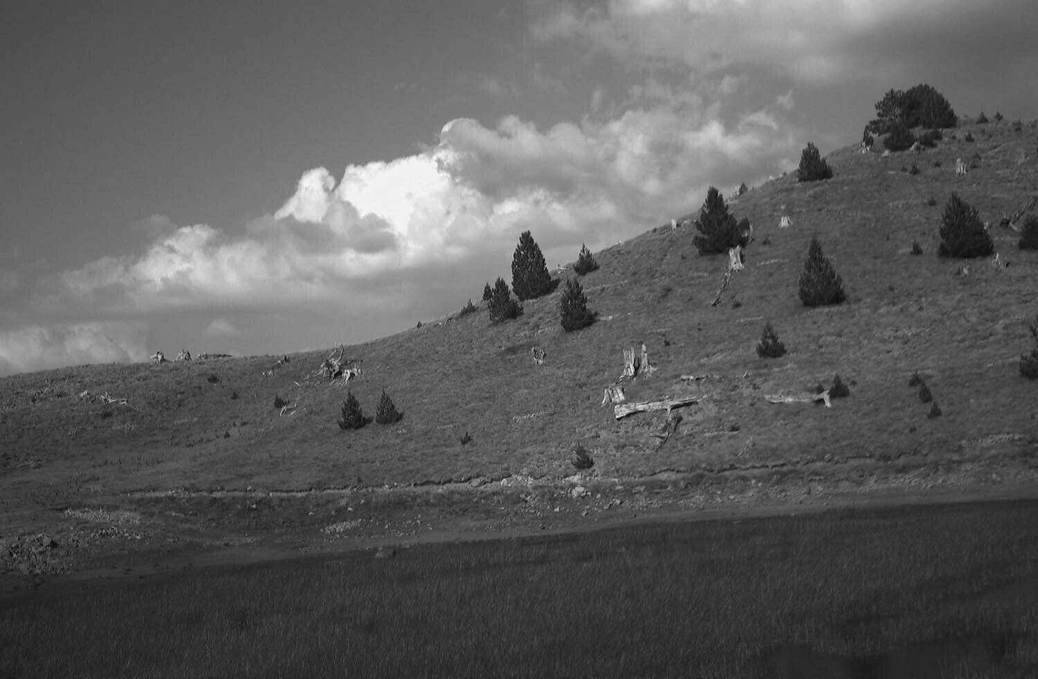 rcnx0309-(2).jpg