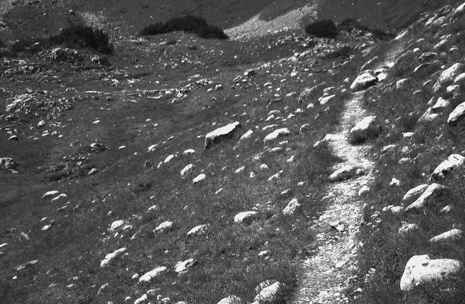 rcnx0311-(1).jpg