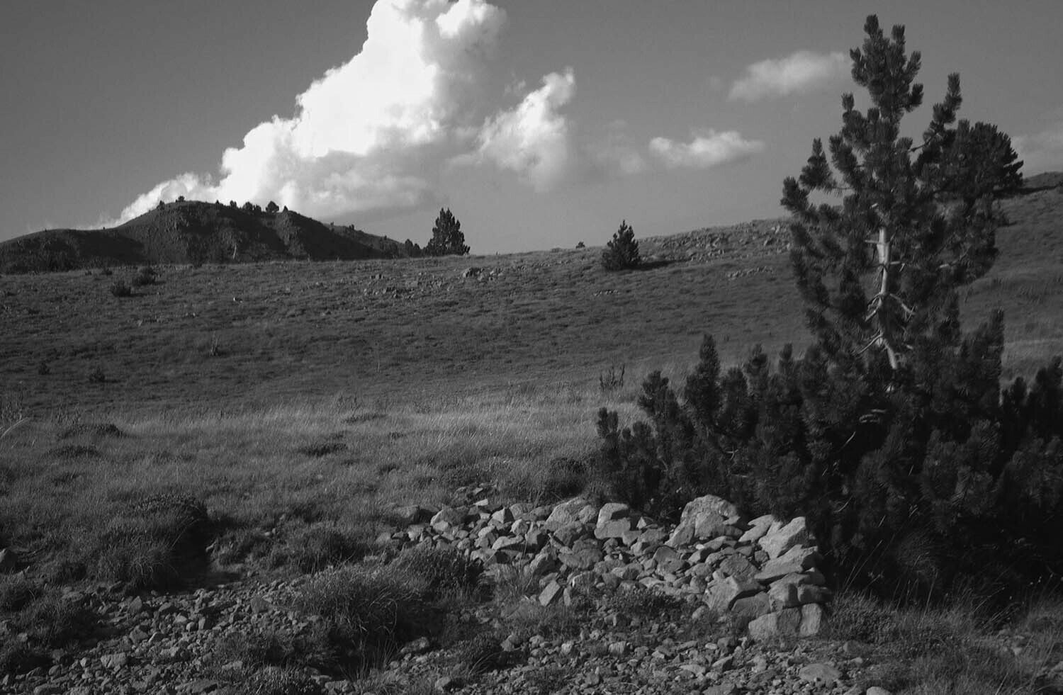 rcnx0312-(3).jpg