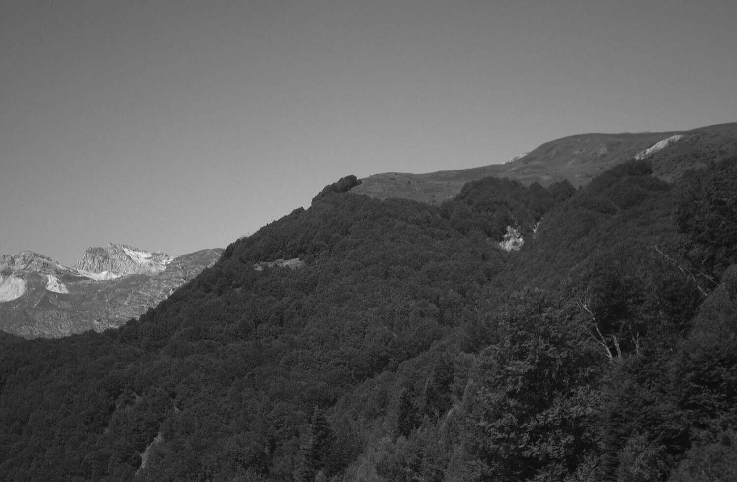 rcnx0320-(1).jpg
