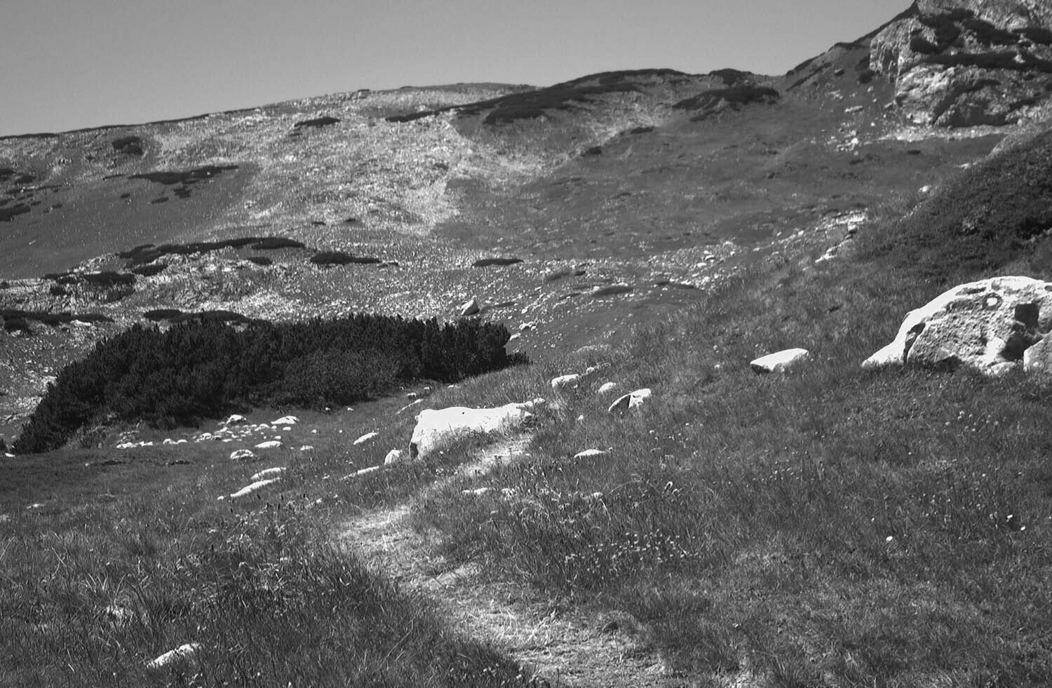 rcnx0321-(2).jpg
