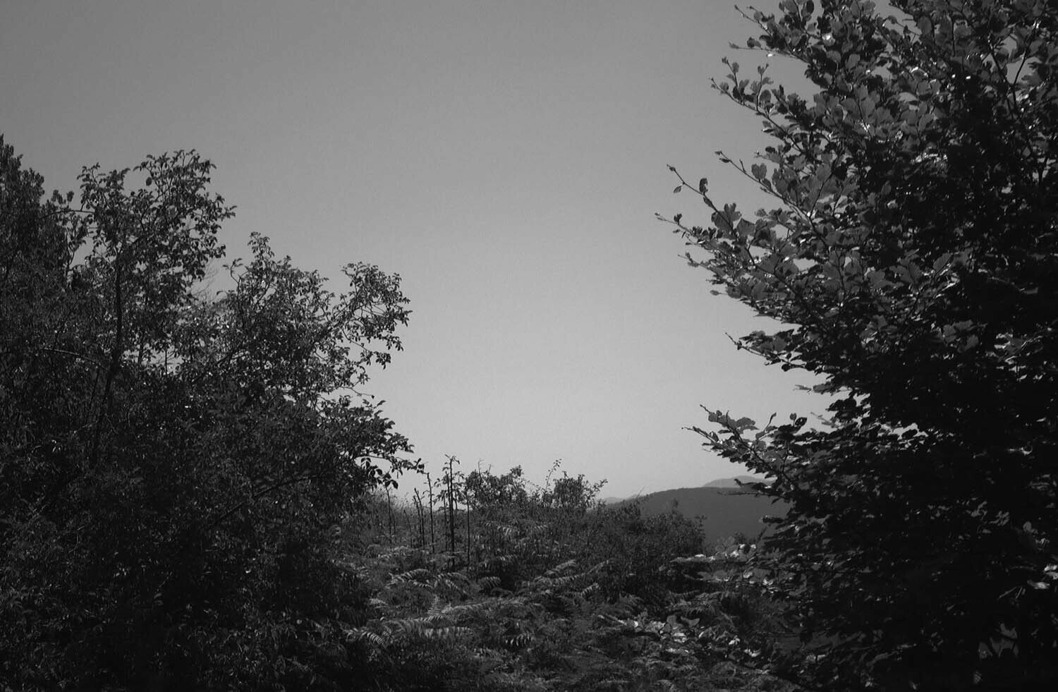 rcnx0326-(2).jpg