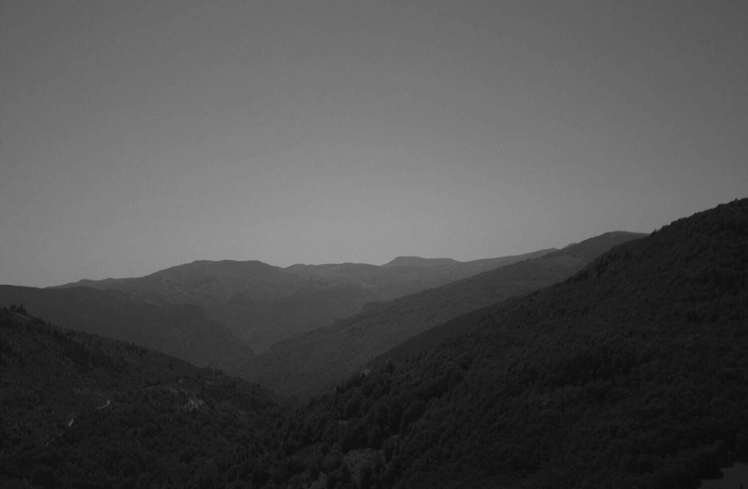 rcnx0338-(2).jpg