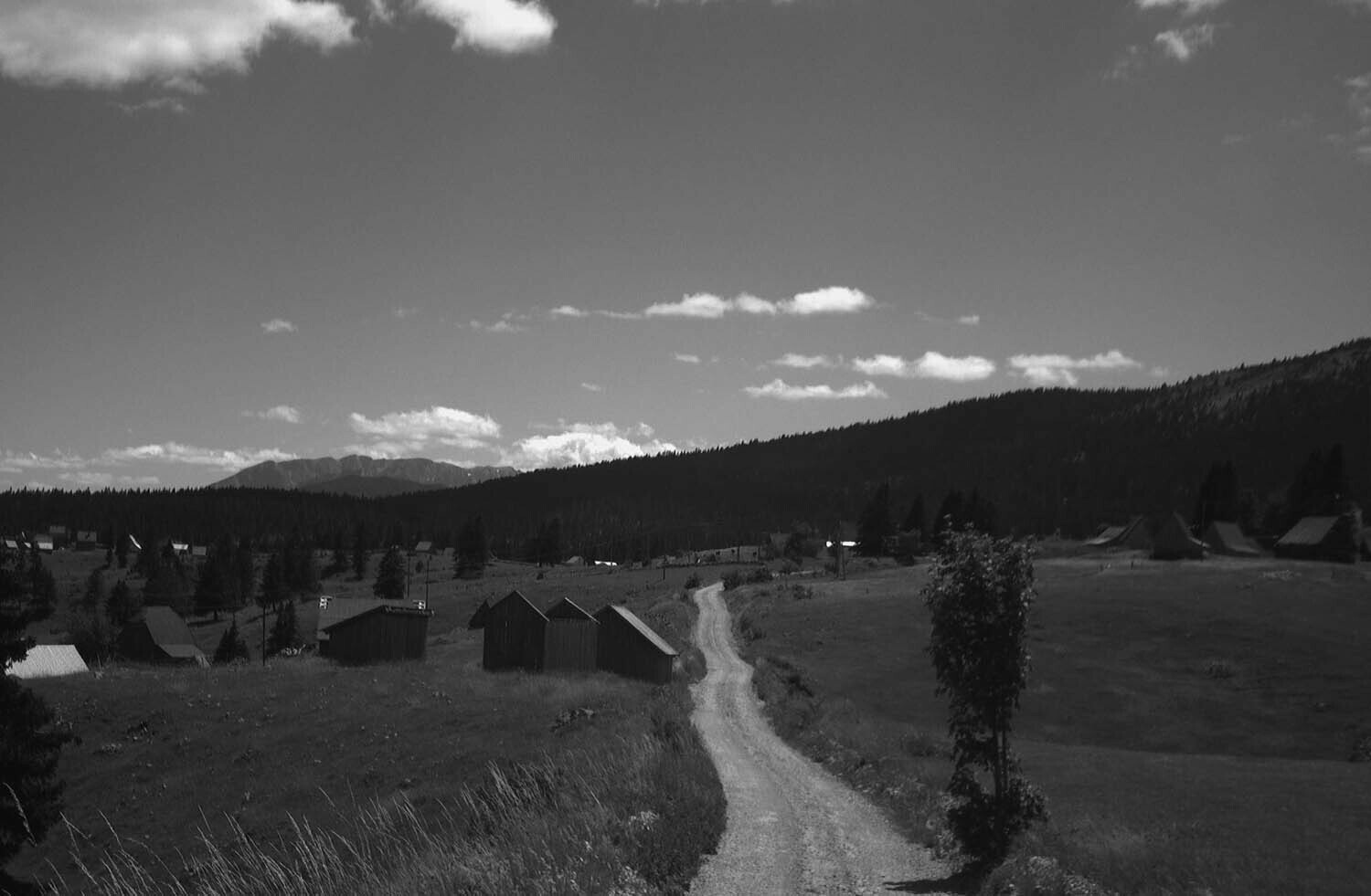 rcnx0362.jpg