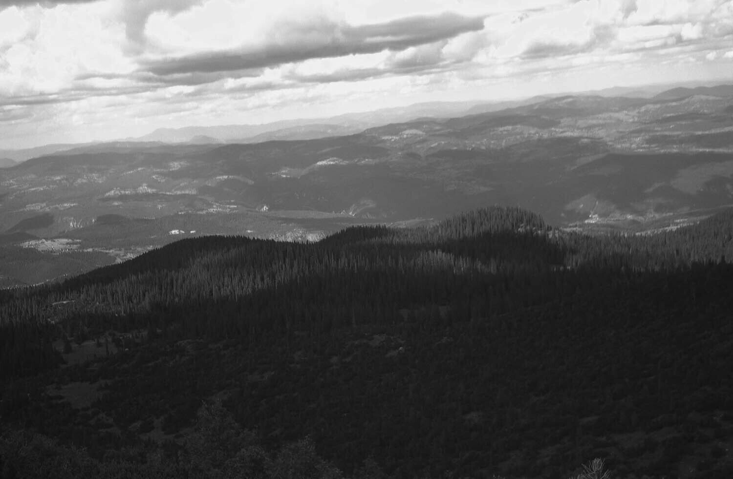 rcnx0379.jpg
