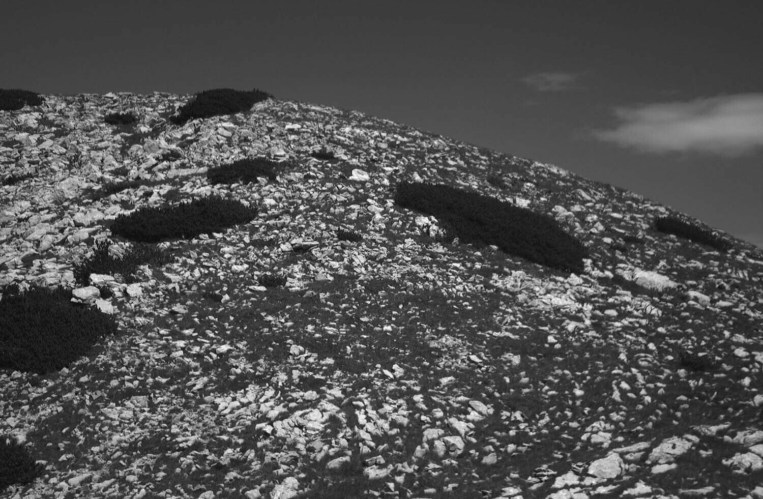 rcnx0394.jpg
