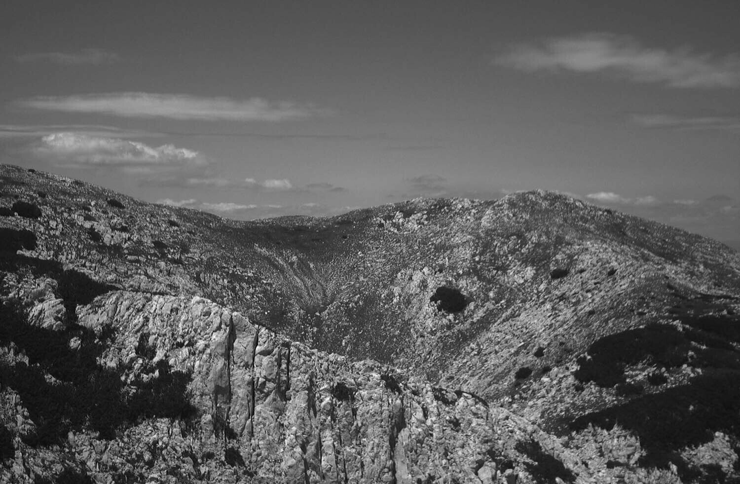 rcnx0399.jpg