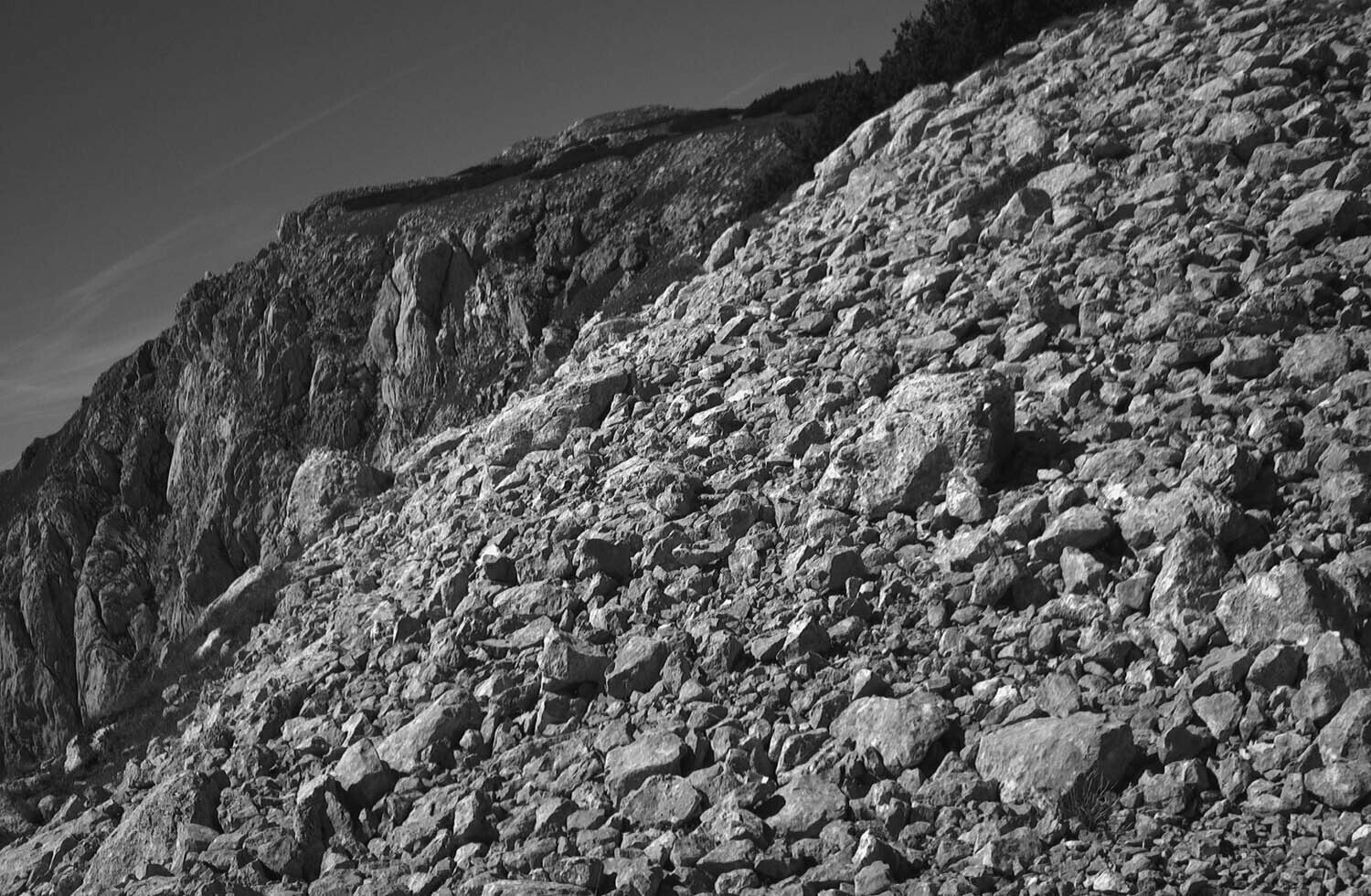 rcnx0447-(1).jpg