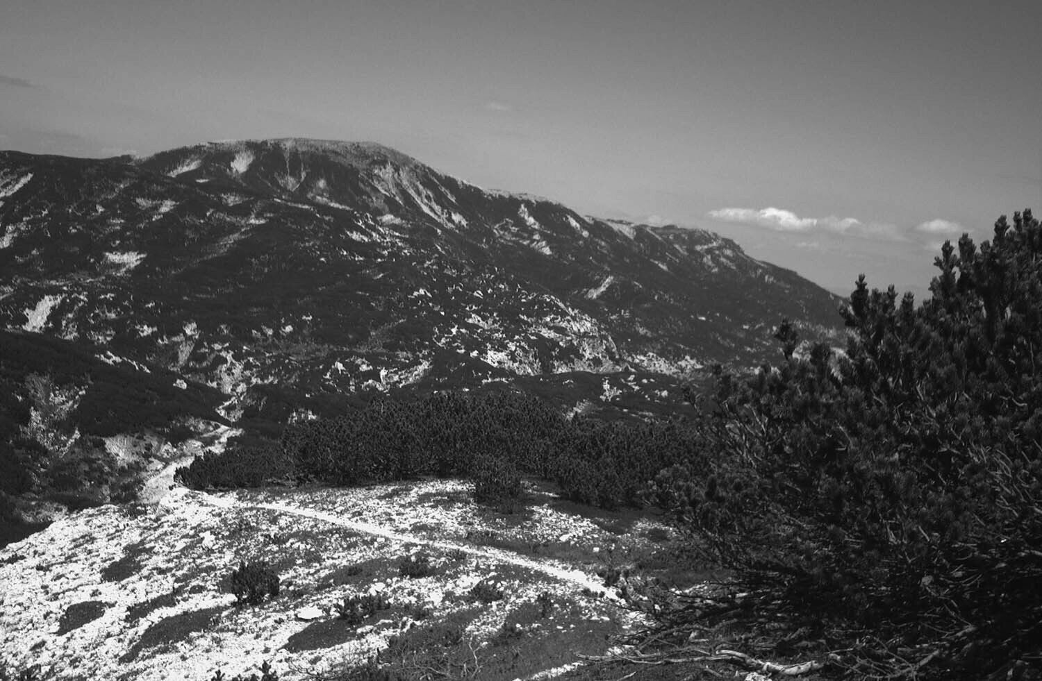 rcnx0448.jpg