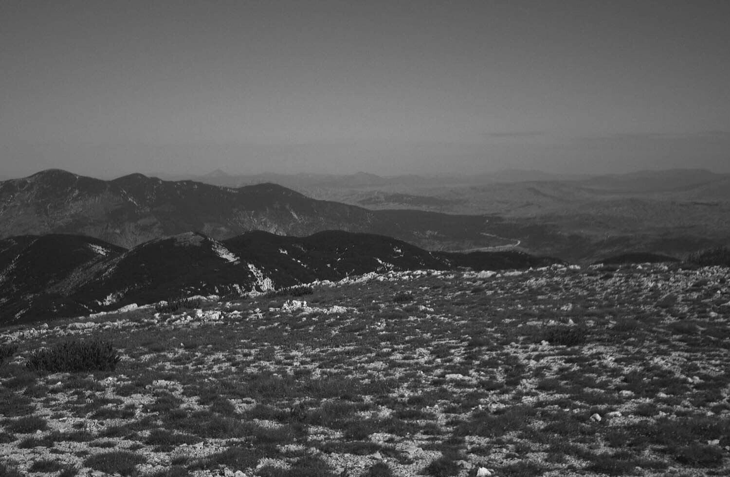 rcnx0475-(1).jpg