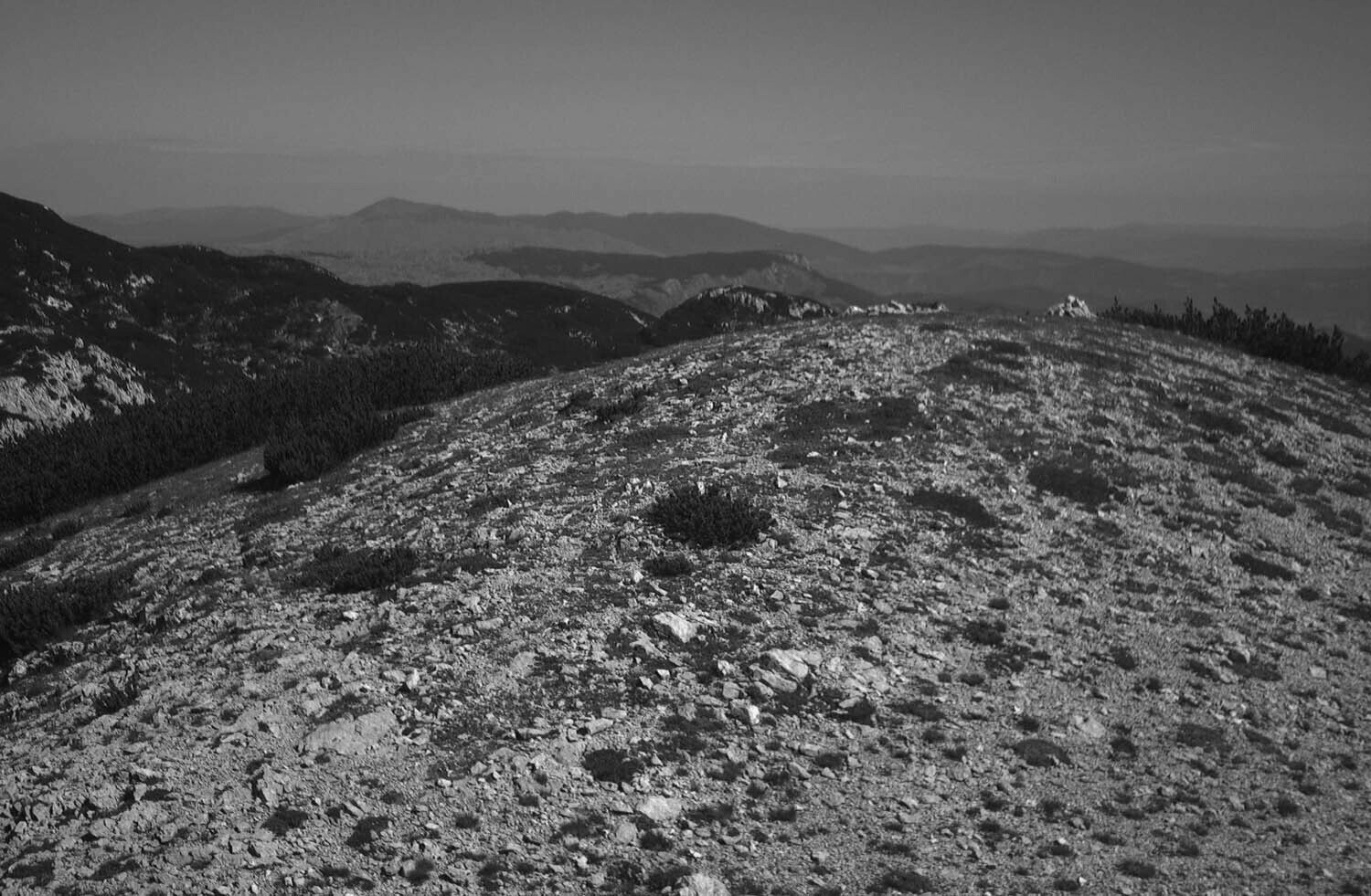 rcnx0486-(1).jpg