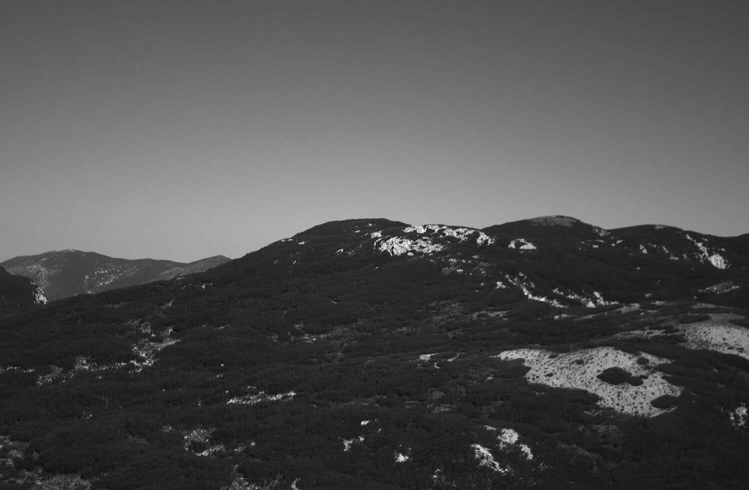 rcnx0489-(1).jpg