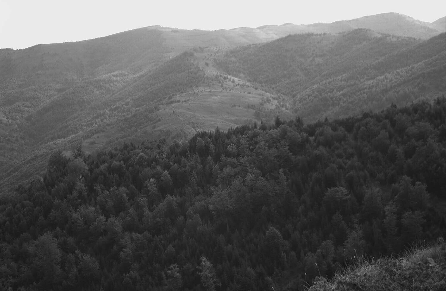 rcnx0491-(1).jpg
