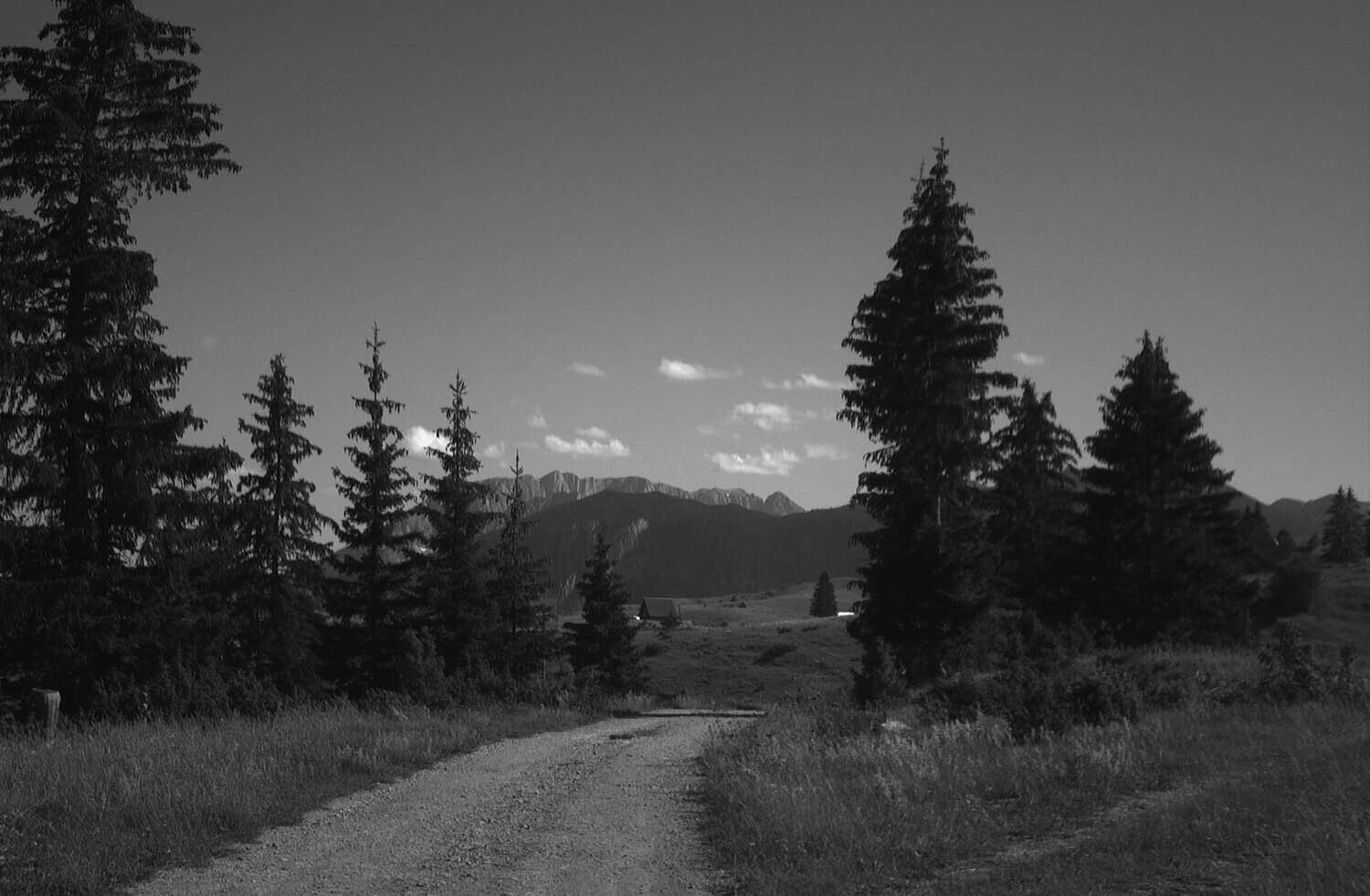 rcnx0512.jpg