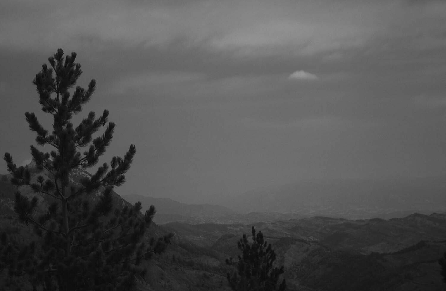 rcnx0514-(1).jpg