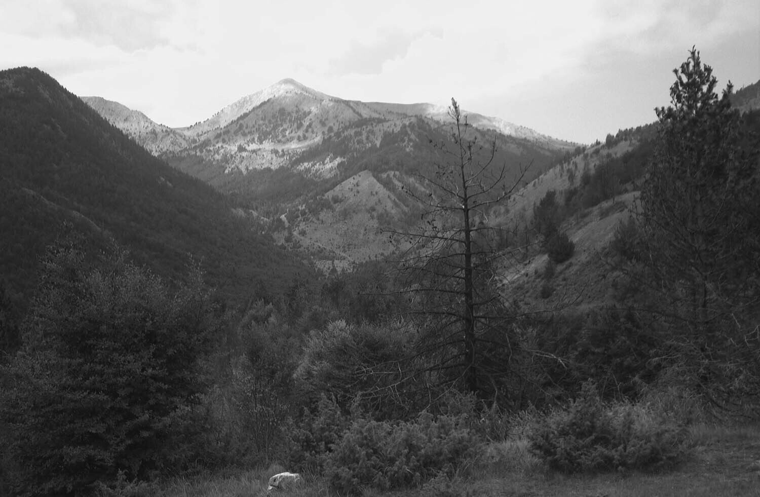 rcnx0525-(2).jpg