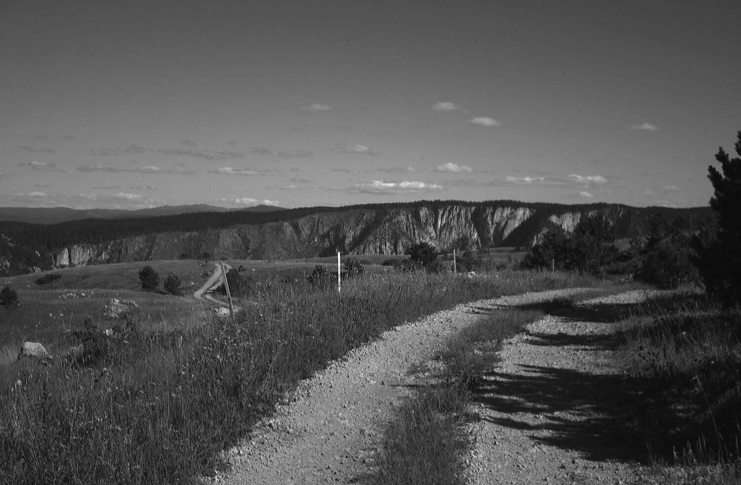 rcnx0530.jpg