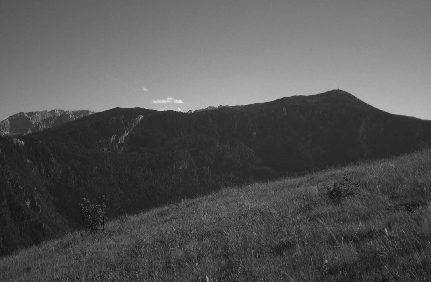 rcnx0542.jpg