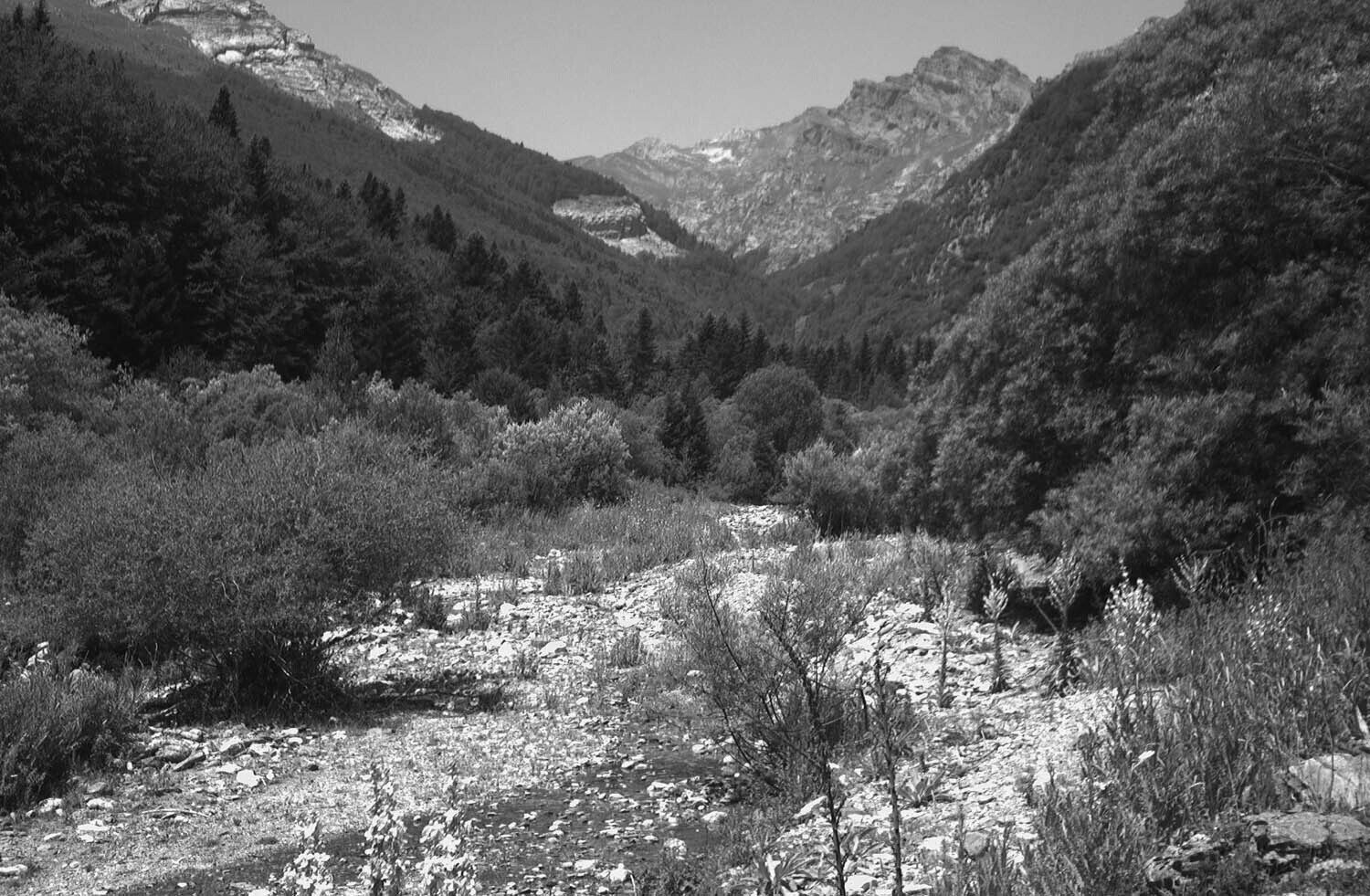 rcnx0559-(2).jpg
