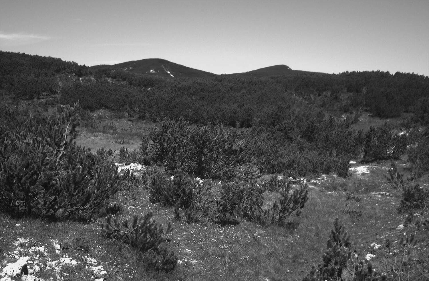 rcnx0560-(1).jpg