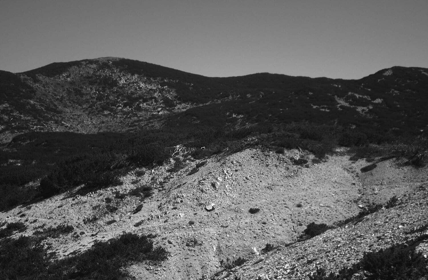 rcnx0574.jpg