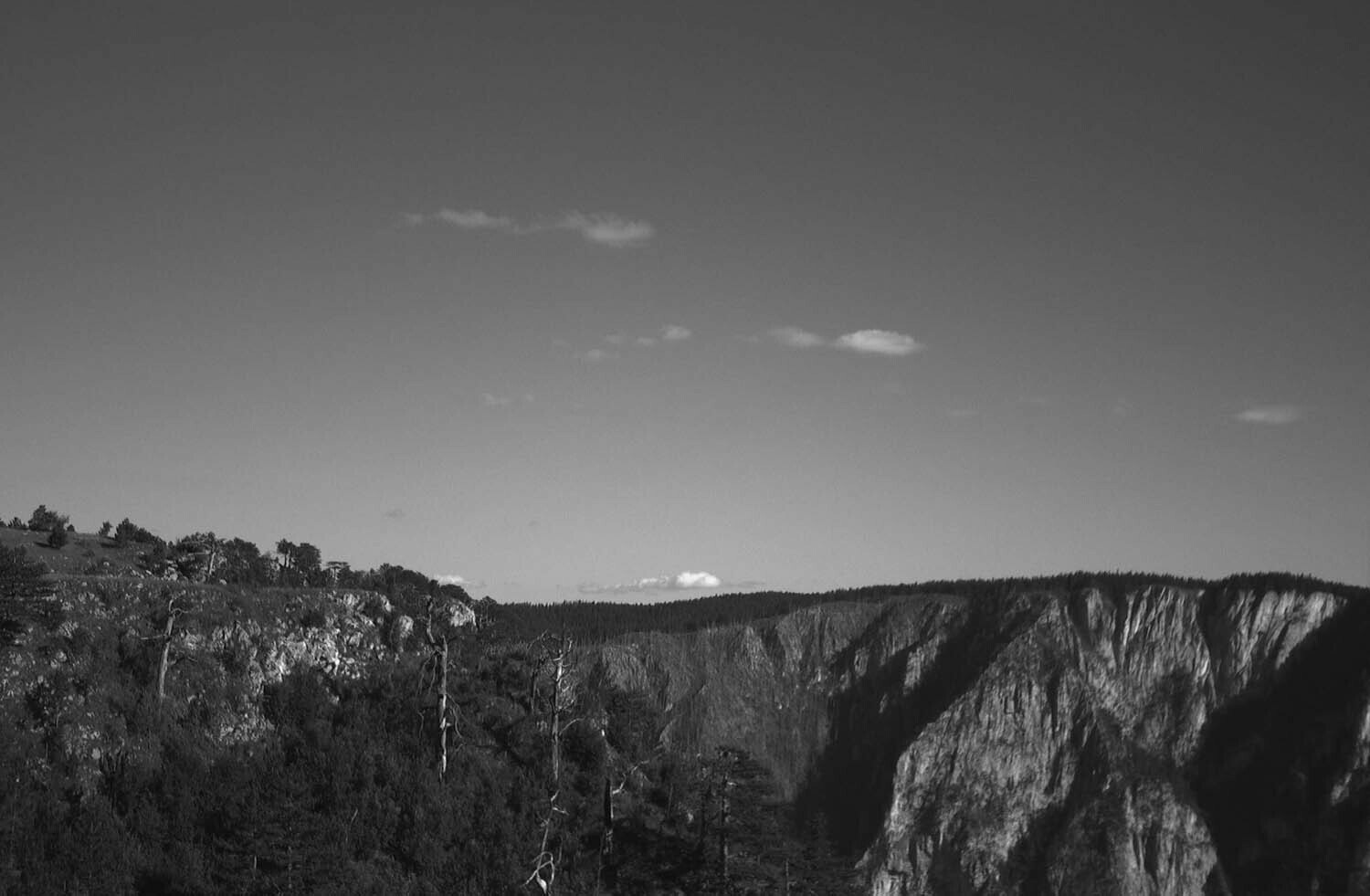 rcnx0578-(1).jpg