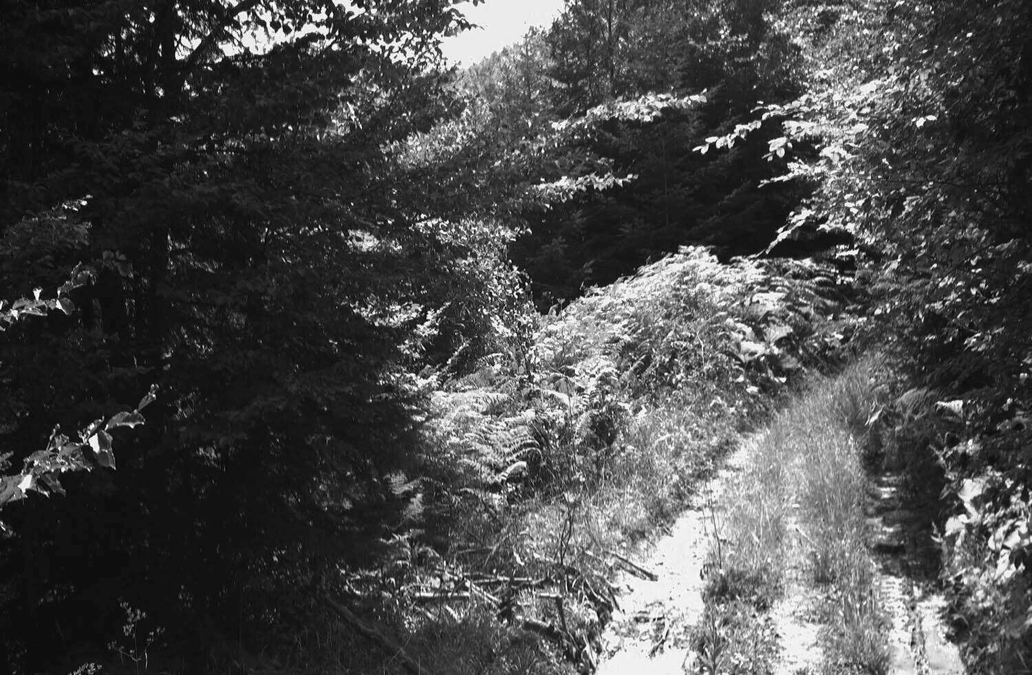 rcnx0585-(2).jpg